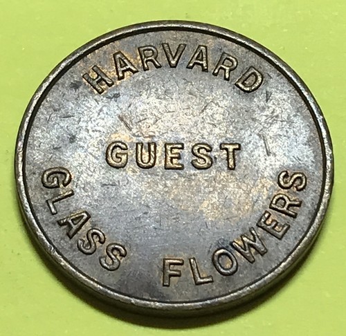 Harvard guest glass flowers - harvard,
